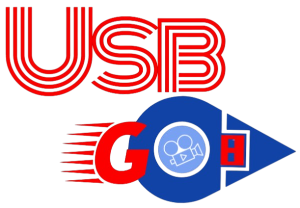 Usb GO